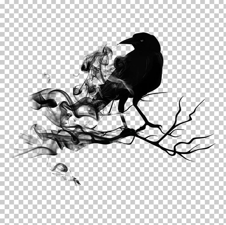 Common Raven Bird Crow PNG, Clipart, Animals, Art, Beak, Bird, Black And White Free PNG Download