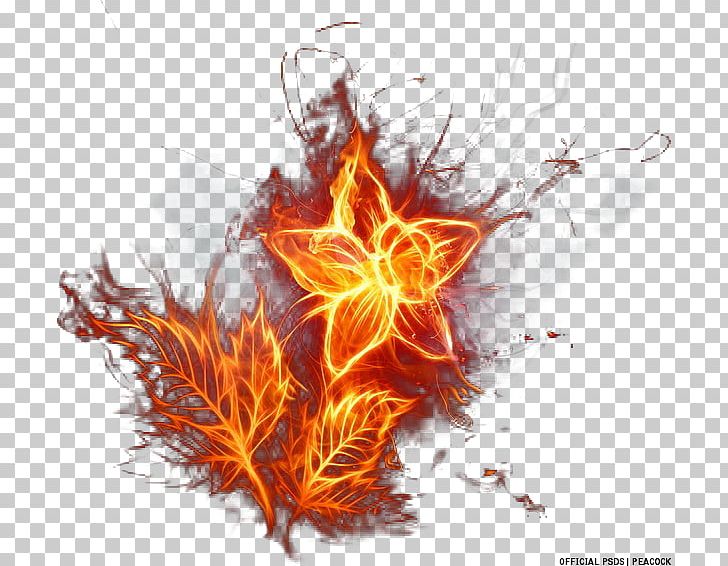 Flame Fire Flower Desktop PNG, Clipart, Color, Computer Wallpaper, Desktop Wallpaper, Fire, Fire Flower Free PNG Download