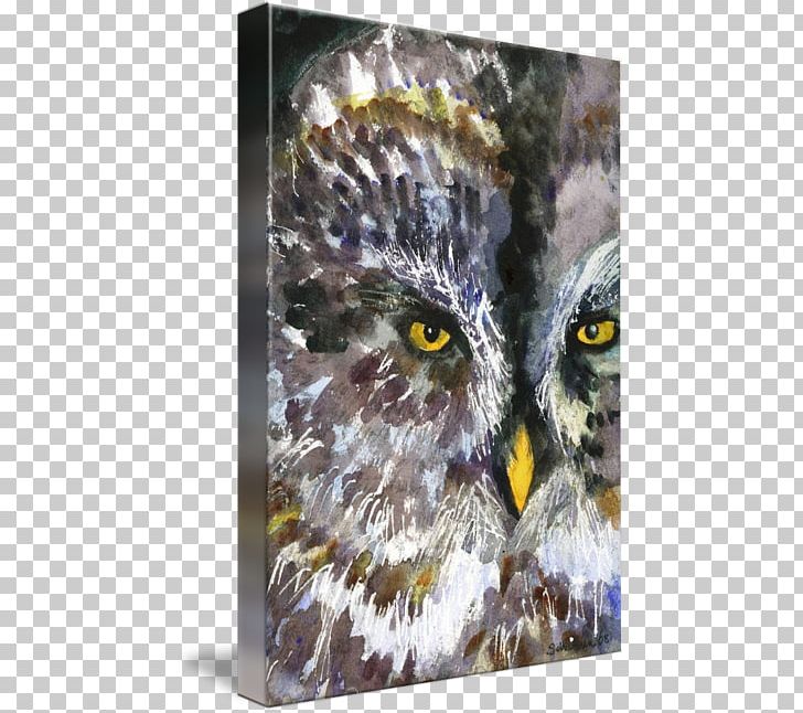 Owl Watercolor Painting Art Drawing PNG, Clipart, Art, Artist, Beak, Bird, Bird Of Prey Free PNG Download