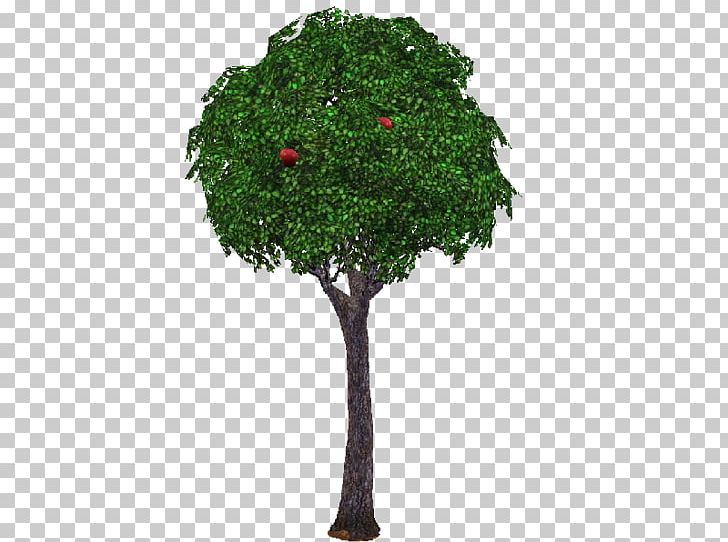 The Sims 3 Branch Tree Garden The Sims 4 PNG, Clipart, Bonsai, Branch, Flowerpot, Fruit Tree, Garden Free PNG Download
