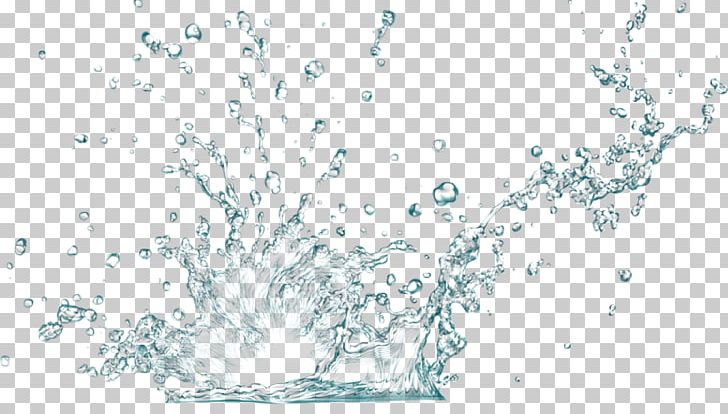 Water Splash Drop Liquid PNG, Clipart, Branch, Color Of Water, Drawing, Drinking Water, Drop Free PNG Download