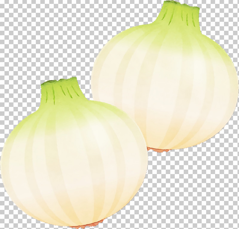 Yellow Onion Onion Yellow PNG, Clipart, Onion, Paint, Watercolor, Wet Ink, Yellow Free PNG Download