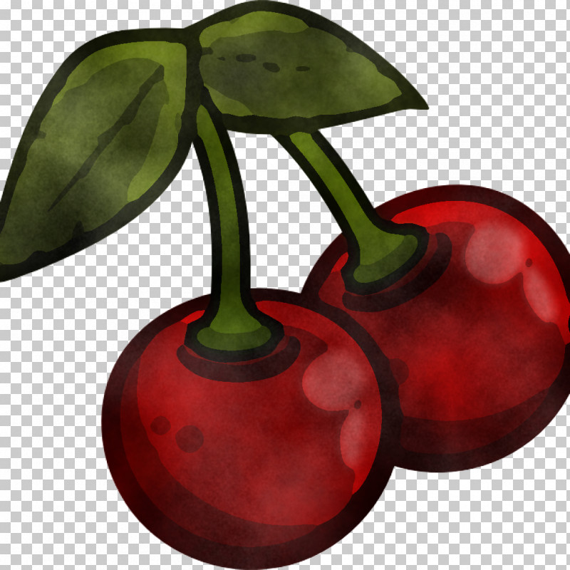 Cherry Plant Leaf Tree Fruit PNG, Clipart, Cherry, Drupe, Flower, Fruit, Leaf Free PNG Download