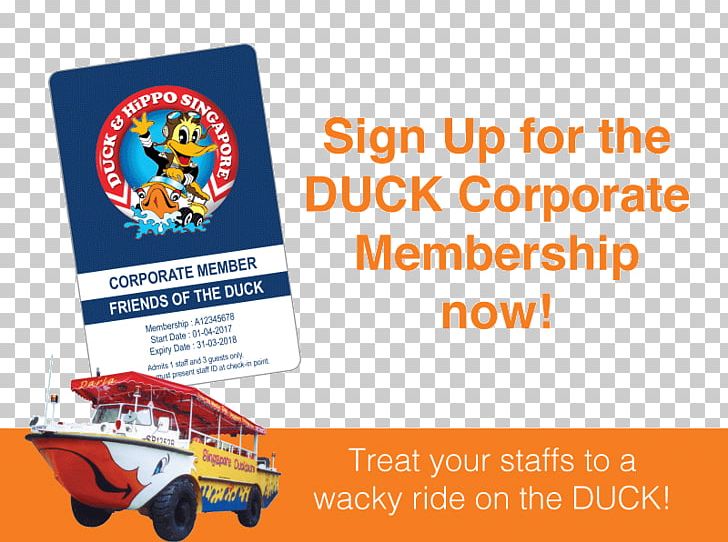Duck Tour Duck & Hippo Bus DUCKtours PNG, Clipart, Advertising, Animals, Banner, Brand, Bus Free PNG Download