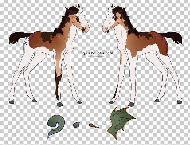 Foal Mustang Colt Stallion Mare PNG, Clipart, Colt, Foal, Mare, Mustang, Stallion Free PNG Download