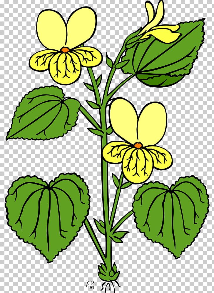 Flowering Plant Flowering Plant PNG, Clipart, Artwork, Auglenu012bca, Botany, Branch, Butterfly Free PNG Download