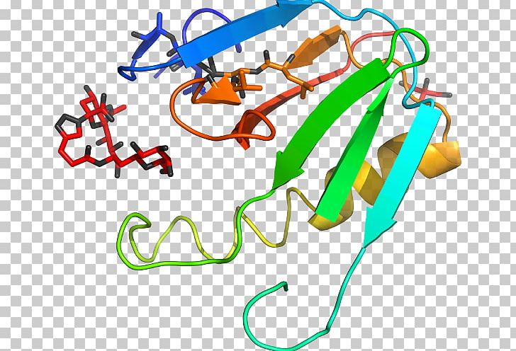 Line Point PNG, Clipart, Area, Art, Cholera Toxin, Line, Organism Free PNG Download