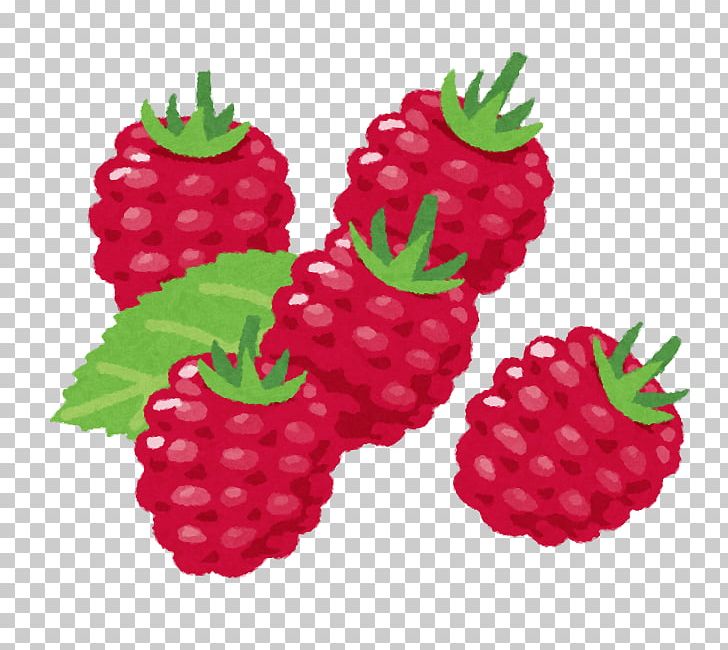 Raspberry Food Fruit Strawberry PNG, Clipart, Accessory Fruit, Boysenberry, Dewberry, Food, Food Drinks Free PNG Download