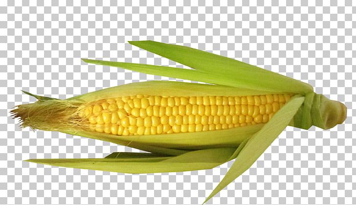Taco Corn On The Cob Polenta Vegetable Maize PNG, Clipart, Bean, Carbohydrate, Commodity, Corn, Corn On The Cob Free PNG Download