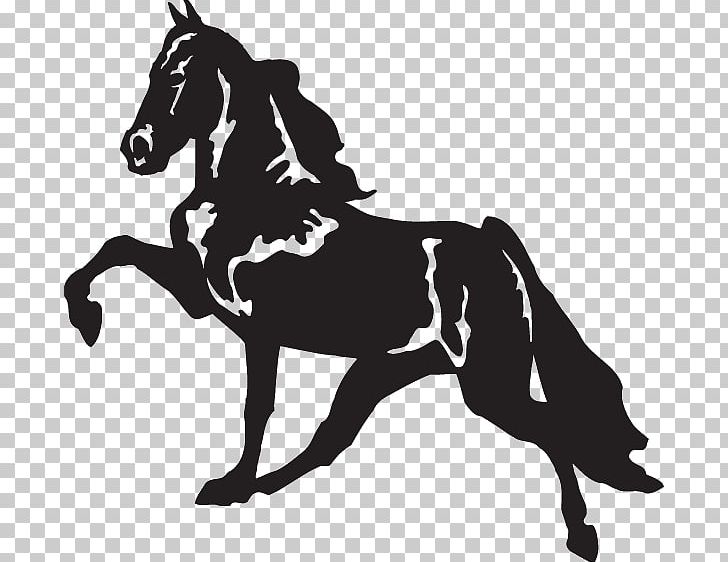 Tennessee Walking Horse Decal Racking Horse Bumper Sticker PNG, Clipart, Bumper Sticker, Car, Dressage, Farm, Fictional Character Free PNG Download