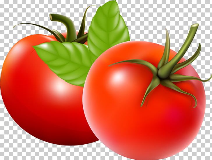 Tomato Juice Tomato Soup Vegetable PNG, Clipart, Autumn Leaf, Bush Tomato, Encapsulated Postscript, Food, Fruit Free PNG Download