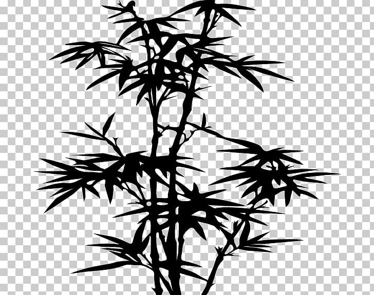 Wall Decal Bamboo Sticker PNG, Clipart, Bamboo, Bamboo Ink, Bamboo Shoot, Black And White, Branch Free PNG Download