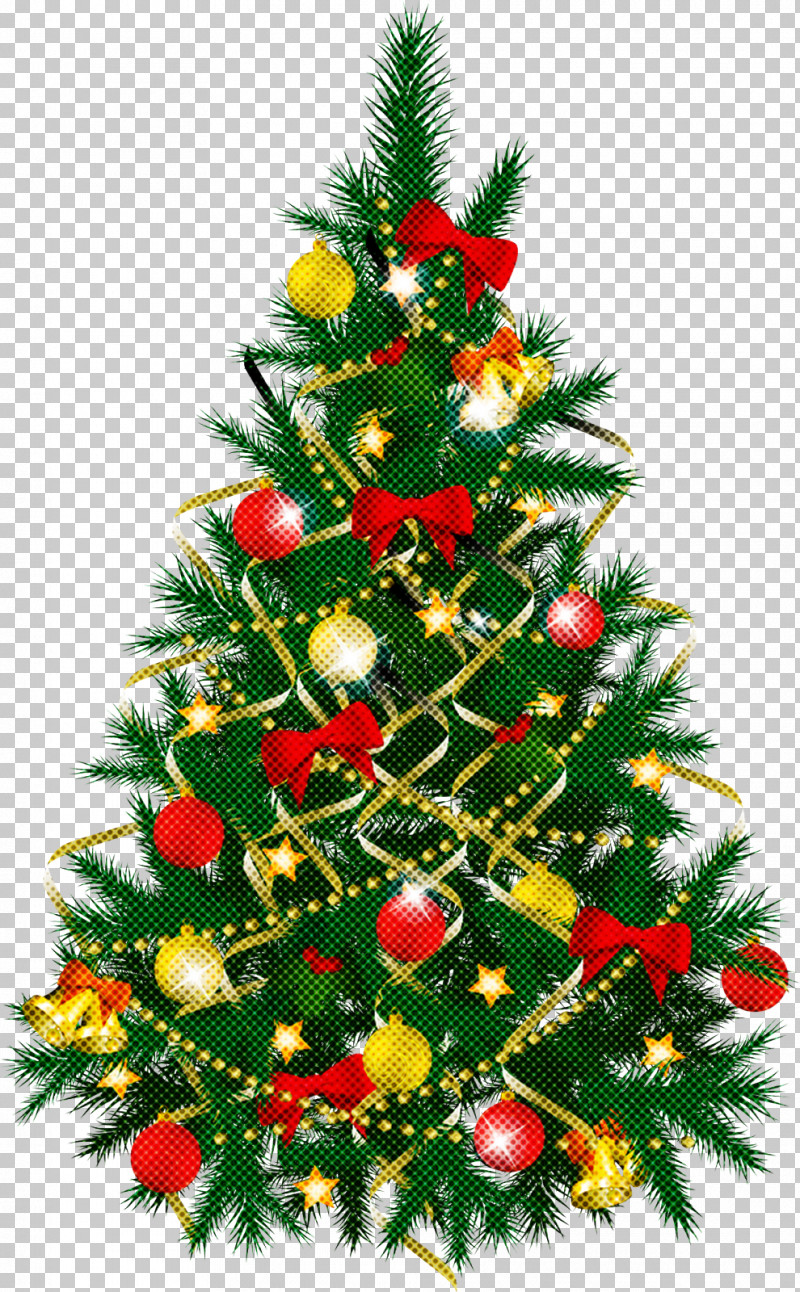 Christmas Tree PNG, Clipart, Branch, Christmas, Christmas Decoration, Christmas Eve, Christmas Lights Free PNG Download