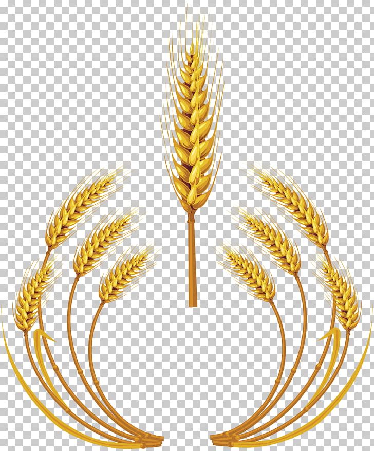 Wheat PNG, Clipart, Wheat Free PNG Download