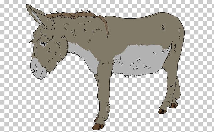 Benjamin Donkey Free Content PNG, Clipart, Benjamin, Blog, Donkey, Drawing, Fauna Free PNG Download