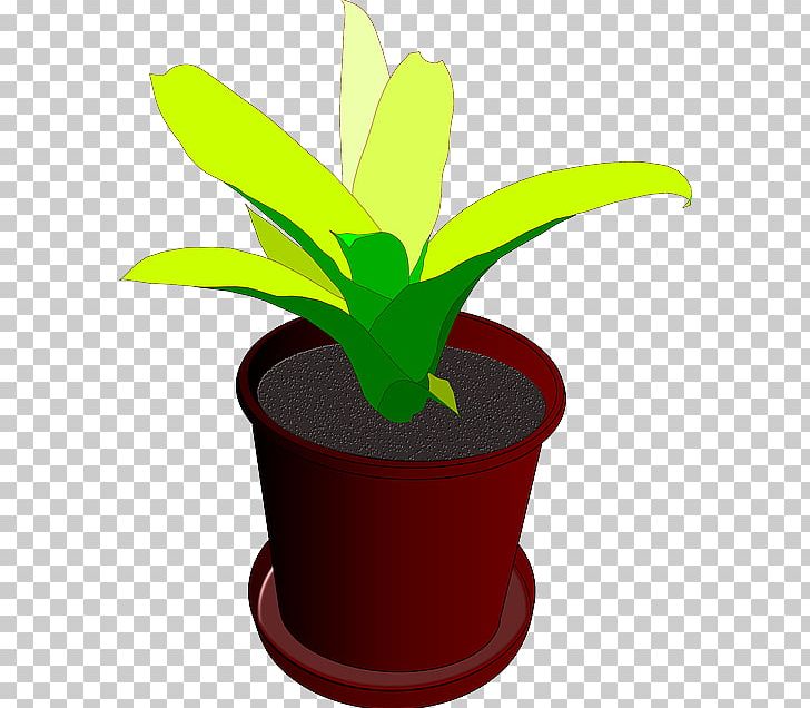 Houseplant Flowerpot PNG, Clipart, Botany, Desktop Wallpaper, Download, Drawing, Flower Free PNG Download