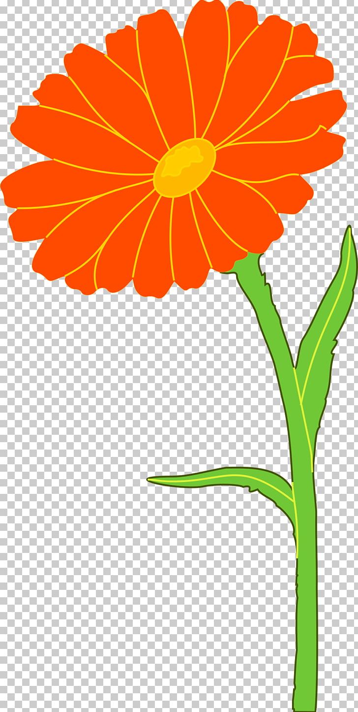 Mexican Marigold Calendula Officinalis Flower PNG, Clipart, Artwork, Calendula, Calendula Officinalis, Chrysanths, Common Sunflower Free PNG Download