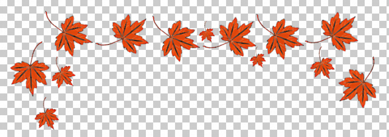 Maple Leaf PNG, Clipart, Biology, Flora, Flower, Leaf, Maple Free PNG Download