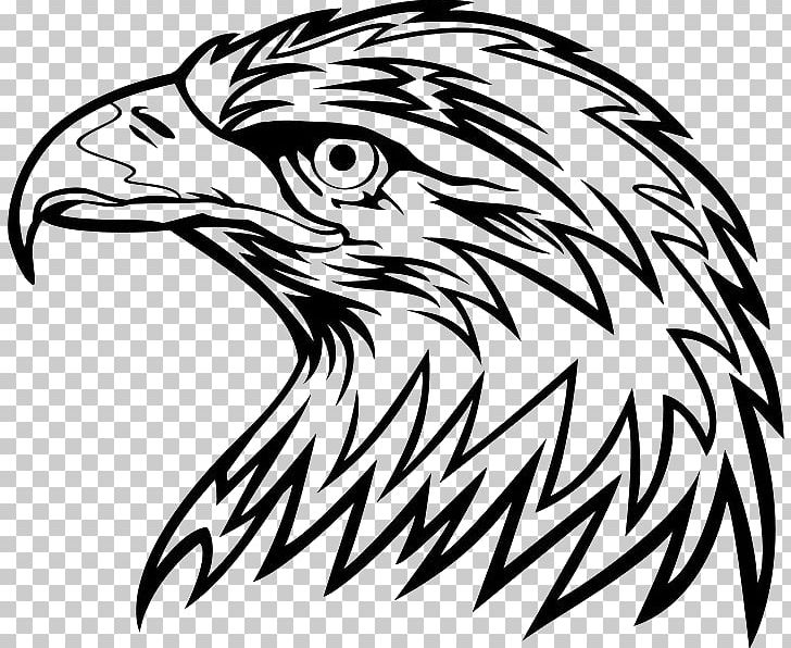 Bald Eagle Bird PNG, Clipart, Animals, Artwork, Bald Eagle, Beak, Bird Free PNG Download