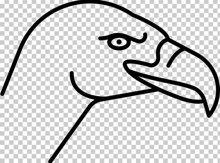 Bird Beak Vulture Computer Icons PNG, Clipart, Animal, Animals, Area, Artwork, Beak Free PNG Download