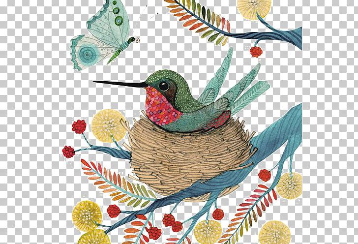 Bird Paper Drawing Cushion PNG, Clipart, Animals, Art, Beak, Bird, Bird Nest Free PNG Download