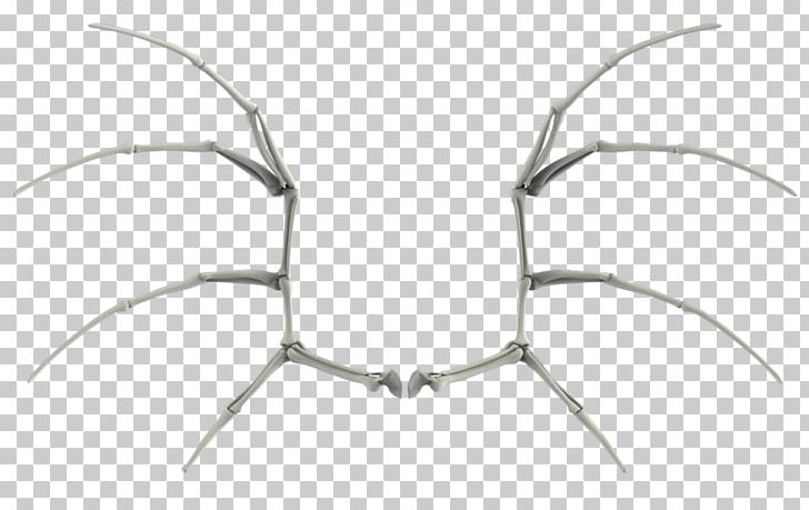 Bone Bat Wing Development PNG, Clipart, Angle, Bat Wing Development, Body Jewellery, Body Jewelry, Bone Free PNG Download