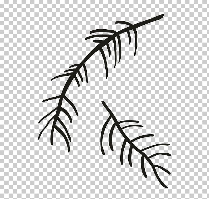 Line Art Drawing PNG, Clipart, Black And White, Branch, Drawing, Flower, Google Images Free PNG Download