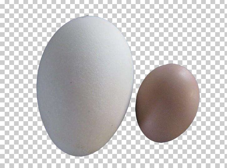 Chicken Domestic Goose Egg Duck PNG, Clipart, Animals, Baking, Broken Egg, Chicken, Chicken Egg Free PNG Download