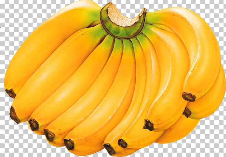 Cavendish Banana Tropical Fruit Food PNG, Clipart, Ban, Banana, Calabaza, Cavendish Banana, Cooking Plantain Free PNG Download