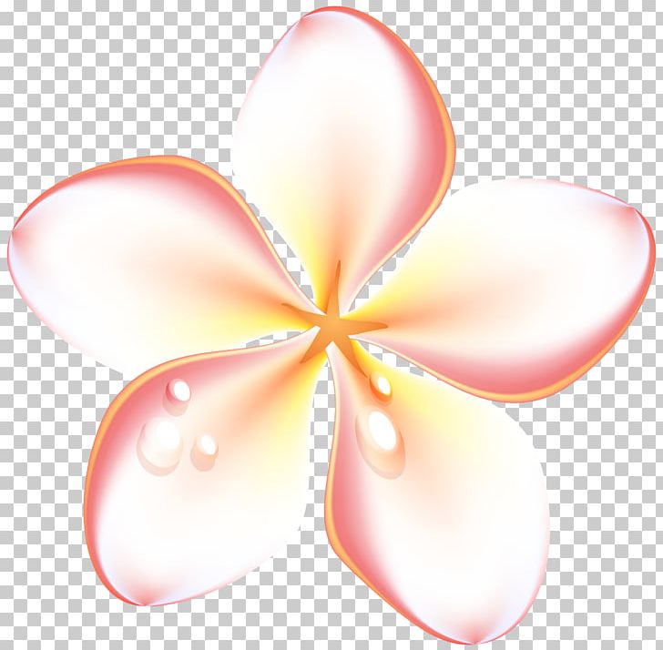 Flower Petal Close-up Symmetry PNG, Clipart, Closeup, Flower, Frangipani, Nature, Peach Free PNG Download