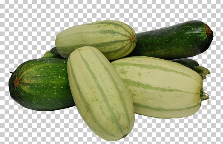 Pickled Cucumber Spreewald Gherkins Zucchini Winter Squash PNG, Clipart, Cucumber, Cucumber Gourd And Melon Family, Cucumis, Cucurbita, Cucurbitaceae Free PNG Download