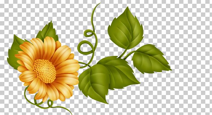 Cut Flowers Floral Design PNG, Clipart, Blog, Cari, Chrysanthemum, Chrysanths, Clip Art Free PNG Download