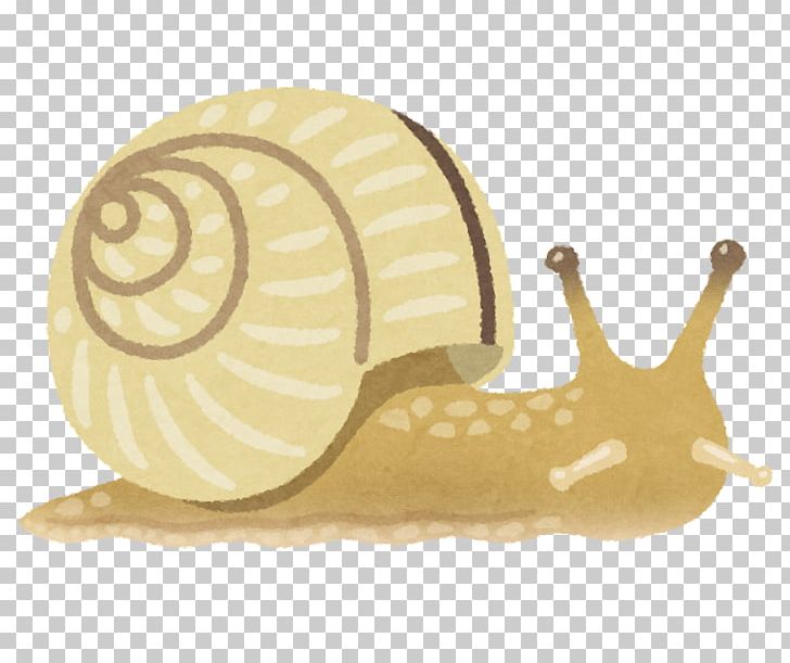Snail Slug いらすとや Organism PNG, Clipart, Amazon Web Services Inc, Animals, Body, Child, East Asian Rainy Season Free PNG Download