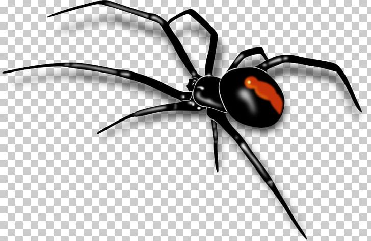 Spider PNG, Clipart, Arachnid, Arthropod, Bagheera Kiplingi, Black Widow, Computer Icons Free PNG Download
