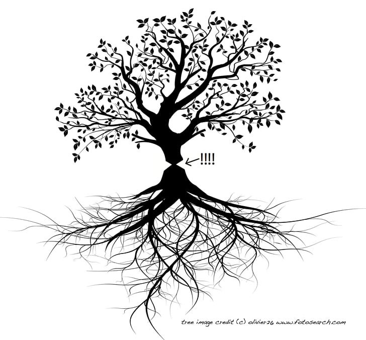 Tree Root Trunk PNG, Clipart, Black And White, Branch, Drawing, Flora, Flower Free PNG Download