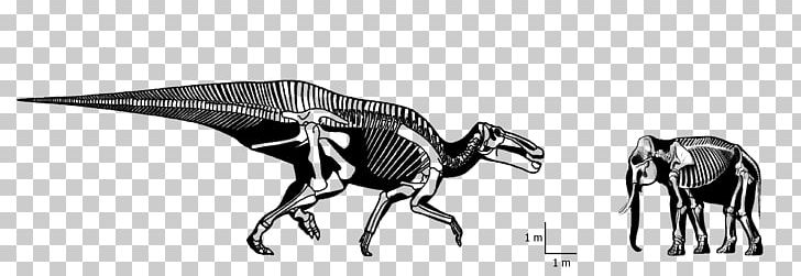 Tyrannosaurus Cattle Triceratops Dinosaur Drawing PNG, Clipart, Abelisaurus, Animal, Animal Figure, Art, Artwork Free PNG Download