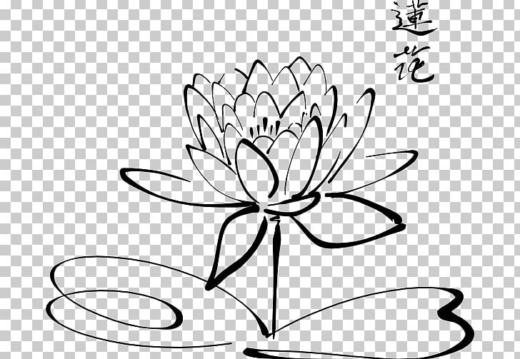Nelumbo Nucifera Drawing Flower PNG, Clipart, Area, Art, Artwork, Black, Black And White Free PNG Download