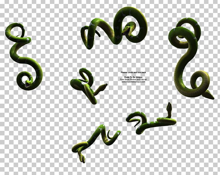 Snake Reptile PNG, Clipart, 3d Computer Graphics, Ahaetulla Prasina, Animals, Body Jewelry, Cobra Free PNG Download
