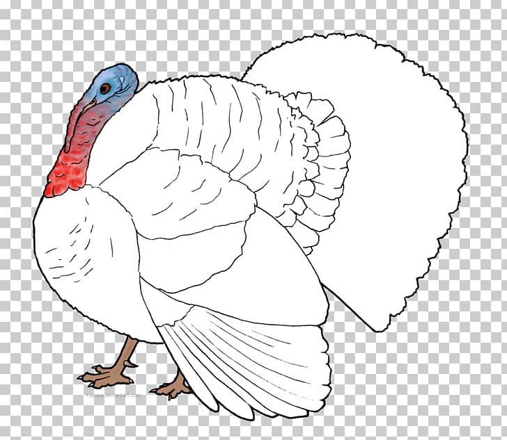 Turkey Meat Chicken As Food Bird PNG, Clipart, Animal, Animals, Art, Beak, Bird Free PNG Download