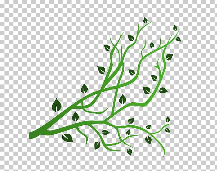 Twig Branch Tree PNG, Clipart, Agronomy, Branch, Digital Image, Drawing, Encapsulated Postscript Free PNG Download