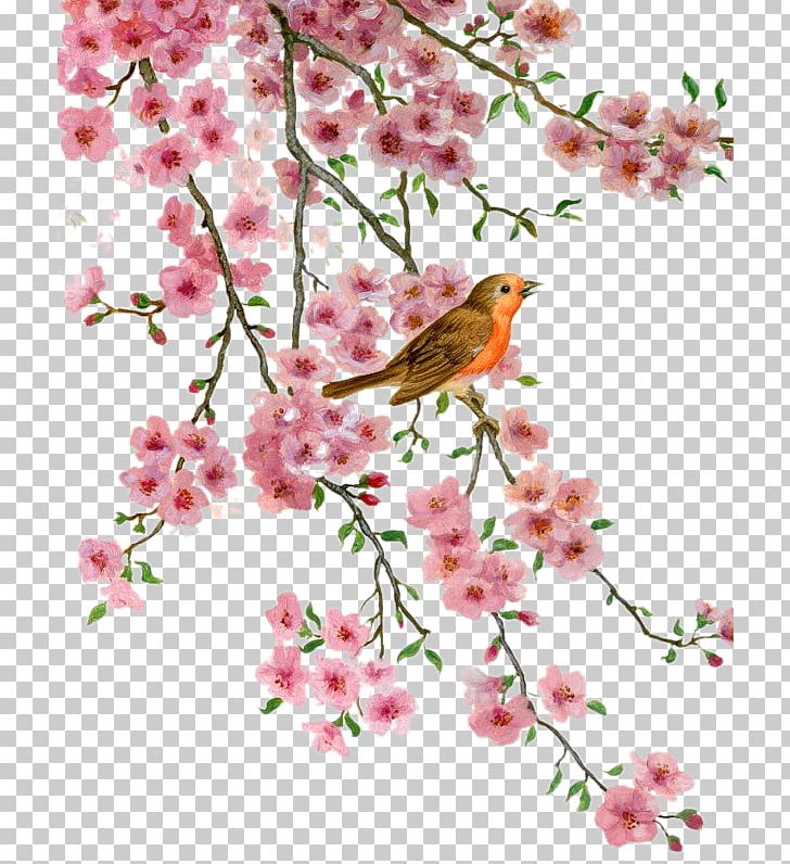 Bird Blossom Flower Desktop PNG, Clipart, Animals, Art, Autumn, Beak, Bird Free PNG Download