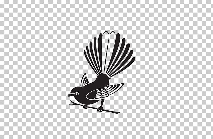 Bird New Zealand Fantail Drawing PNG, Clipart, Animals, Art, Artist, Beak, Bird Free PNG Download