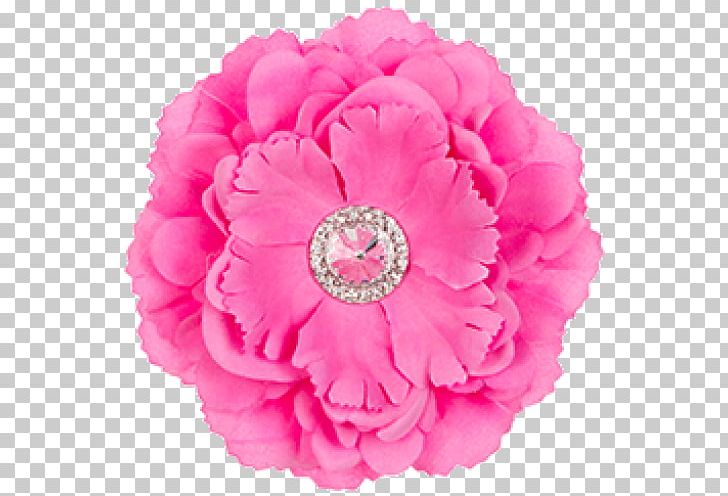 Garden Roses Locker Cut Flowers Pink PNG, Clipart, Blue, Carnation, Color, Cut Flowers, Floral Design Free PNG Download