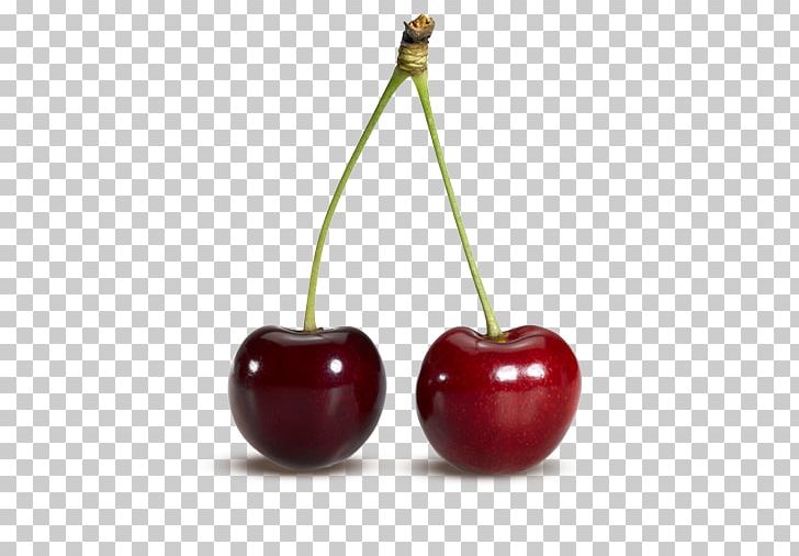 Sour Cherry Cherry Picking Fruit PNG, Clipart, Berry, Cherry, Cherry Picking, Desktop Wallpaper, Display Resolution Free PNG Download