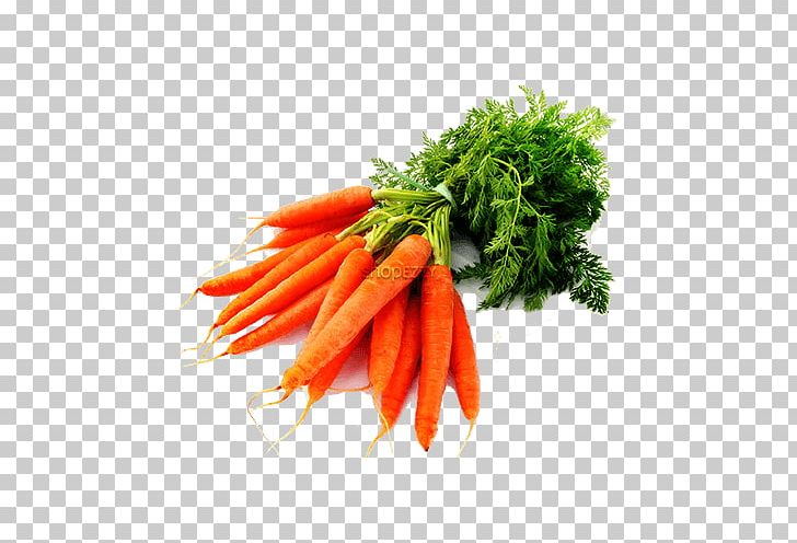 Carrot Seed Oil Vegetable Carrot Juice PNG, Clipart, Apiaceae, Baby Carrot, Carotene, Carrier Oil, Carrot Free PNG Download