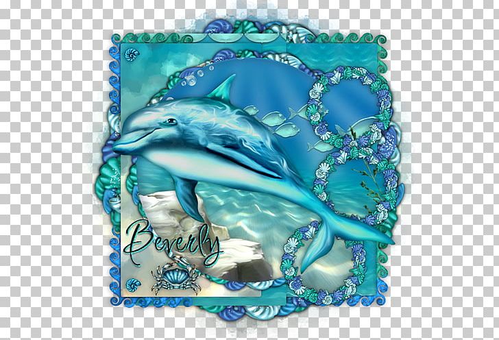 Dolphin Aqua Turquoise Cobalt Blue Teal PNG, Clipart, Animals, Aqua, Blue, Cetacea, Cobalt Free PNG Download