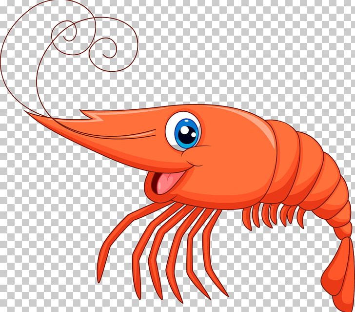 Shrimp PNG, Clipart, Animals, Art, Artwork, Beak, Cartoon Free PNG Download