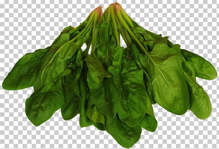 Spinach Food Chard Leaf Vegetable Eating PNG, Clipart, Baklava, Basil, Chard, Choy Sum, Dough Free PNG Download