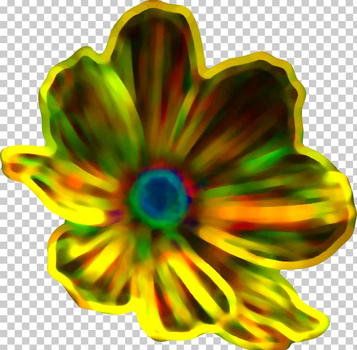 Diagram Petal Flower PNG, Clipart, 20171116, Colour, Diagram, Electrical Wires Cable, Electricity Free PNG Download