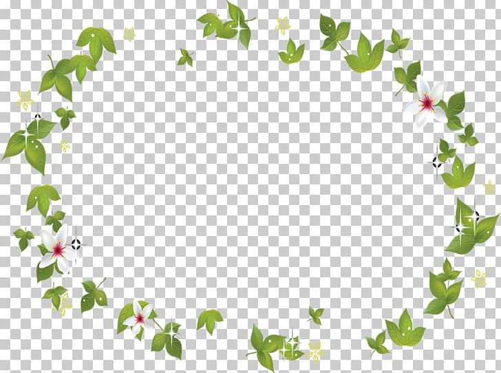 Frames Flower PhotoScape PNG, Clipart, Border, Branch, Circle, Drawing, Flora Free PNG Download